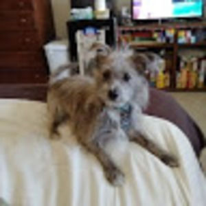 Meet your Posher, Sonja